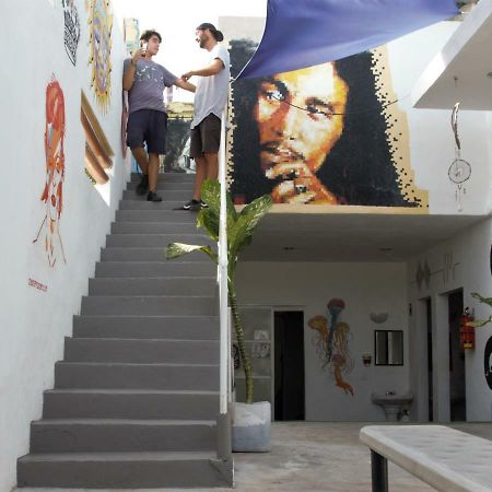 Day Tripper Hostel تولوم المظهر الخارجي الصورة