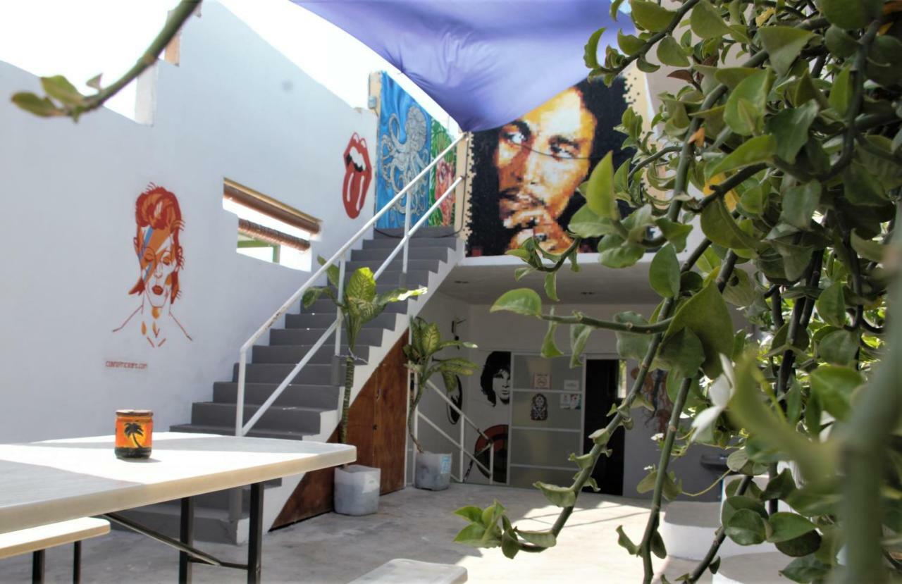 Day Tripper Hostel تولوم المظهر الخارجي الصورة