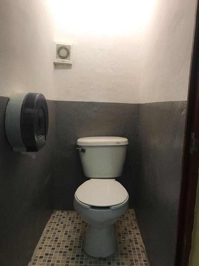 Day Tripper Hostel تولوم المظهر الخارجي الصورة